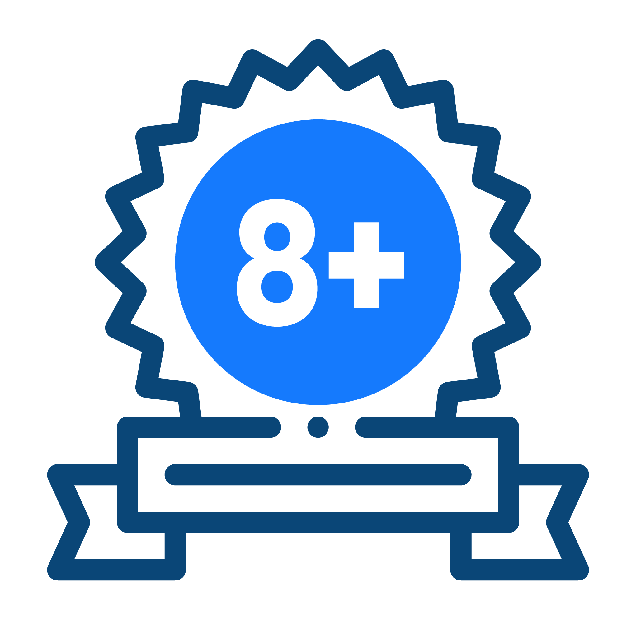 8+ Years of Expertise